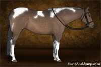 Horse Color:Brown Tobiano 