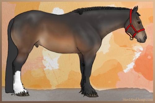 Horse Color:Brown 