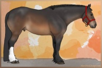 Horse Color:Brown 