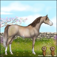 Horse Color:Brown Pearl Sabino