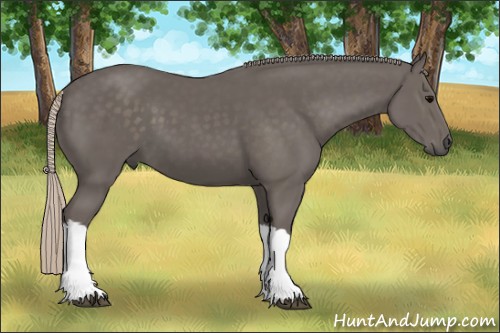 Horse Color:Silver Black 