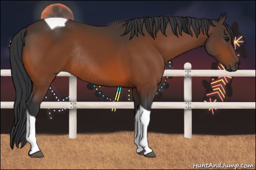 Horse Color:Bay Tobiano Rabicano 