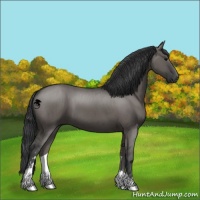 Horse Color:Grullo Sabino Brindle 