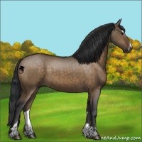 Horse Color:Brown Dun Sabino Brindle