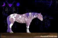 Horse Color:Watercolor White Spotted Amber Champagne 