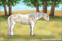 Horse Color:Watercolor White Spotted Silver Amber Champagne Dun 