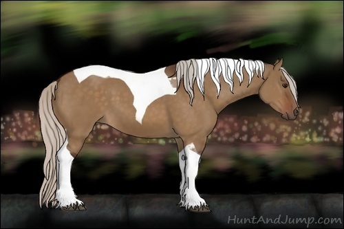 Horse Color:Silver Brown Dun Tobiano