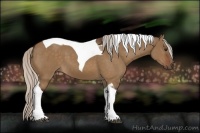 Horse Color:Silver Brown Dun Tobiano