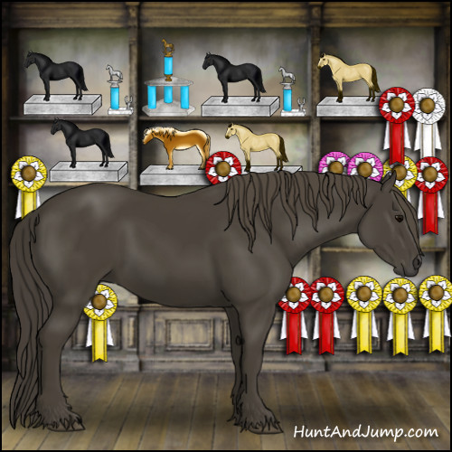 Horse Color:Smoky Black 