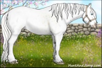 Horse Color:Cremello Near Leopard  and Cremello Near Leopard 