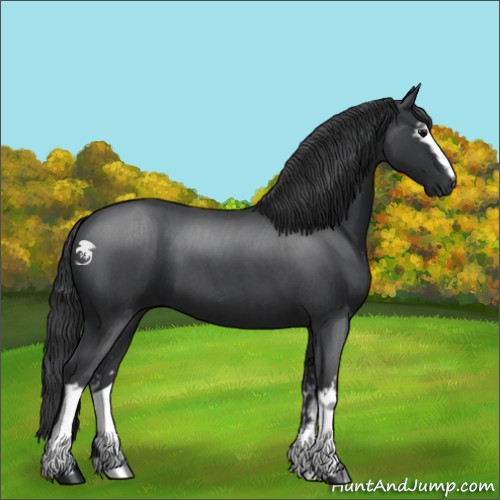 Horse Color:White Spotted Blue Roan 