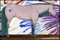 Horse Color:Watercolor Bay Dun