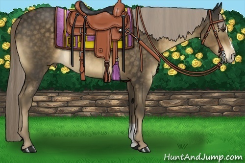 Horse Color:Chocolate Palomino Sabino