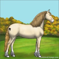 Horse Color:Gold Champagne Dun Sabino 
