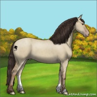 Horse Color:Classic Champagne Dun 