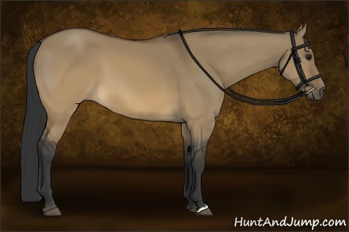 Horse Color:Brown Dun