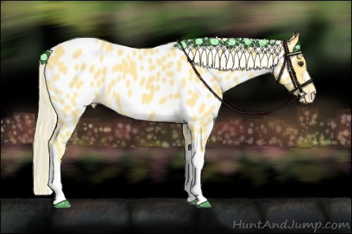 Horse Color:Palomino Near Leopard