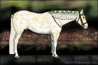 Horse Color:Palomino Near Leopard 
