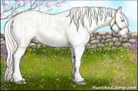 Horse Color:Cremello Near Leopard and White Spotted Cremello Near Leopard