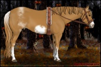 Horse Color:White Spotted Chestnut Frame 