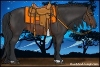 Horse Color:Brown Rabicano and Brown Rabicano