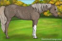 Horse Color:Silver Black 