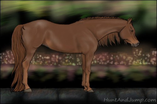 Horse Color:Gray Chestnut 