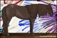 Horse Color:Liver Chestnut 