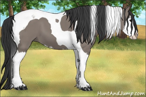 Horse Color:Grullo Splash Tobiano