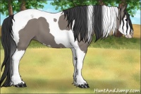 Horse Color:Grullo Splash Tobiano