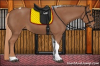 Horse Color:Red Roan Tobiano 