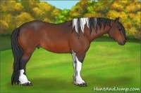 Horse Color:Bay Tobiano Rabicano 