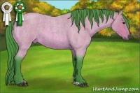 Horse Color:Watercolor Bay Roan 