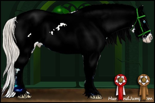 Horse Color:Chocolate Palomino Pearl Sabino Snowcap Rabicano and Chocolate Palomino Pearl Sabino Snowcap Rabicano