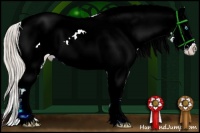 Horse Color:Chocolate Palomino Pearl Sabino Appaloosa Rabicano  and Chocolate Palomino Pearl Sabino Appaloosa Rabicano 