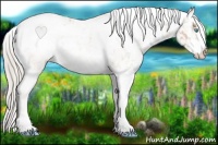 Horse Color:Chocolate Palomino Pearl Sabino Appaloosa Rabicano  and Chocolate Palomino Pearl Sabino Appaloosa Rabicano 