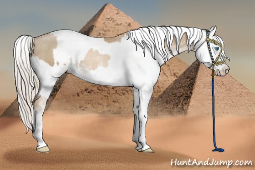 Horse Color:Chocolate Palomino Pearl Sabino Appaloosa Rabicano  and Chocolate Palomino Pearl Sabino Appaloosa Rabicano 