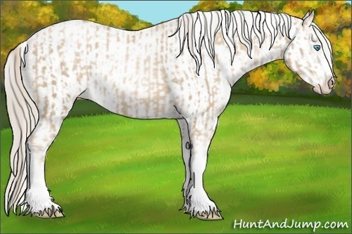 Horse Color:Chocolate Palomino Pearl Sabino Appaloosa Rabicano and Chocolate Palomino Pearl Sabino Frame Appaloosa Rabicano