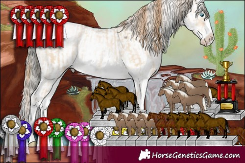 Horse Color:White Spotted Buckskin Pearl Mushroom Sabino Rabicano  and Liver Chestnut Mushroom Sabino Leopard 