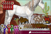 Horse Color:White Spotted Buckskin Pearl Mushroom Sabino Rabicano and Liver Chestnut Mushroom Sabino Appaloosa