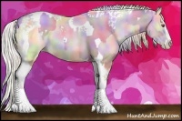 Horse Color:Nacre White Spotted Chocolate Buckskin Chinchilla Pearl Sabino Rabicano and Nacre Chocolate Palomino Chinchilla Pearl Sabino Tobiano Rabicano