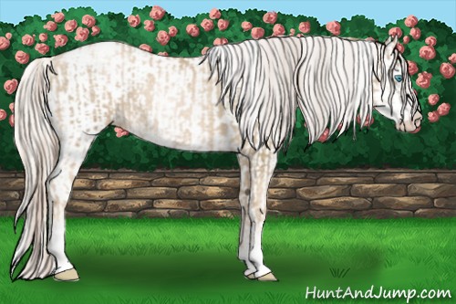 Horse Color:Chocolate Palomino Pearl Sabino Varnish Rabicano  and Palomino Pearl Sabino Varnish Rabicano 