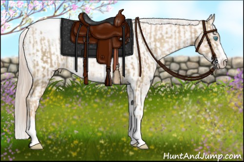 Horse Color:Chocolate Palomino Pearl Sabino Appaloosa Rabicano and Chocolate Palomino Pearl Sabino Appaloosa Rabicano