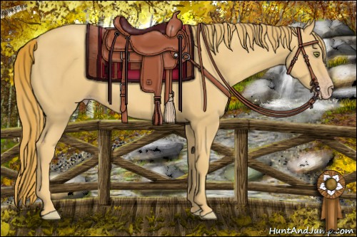 Horse Color:Gold Champagne 