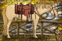 Horse Color:Gold Champagne