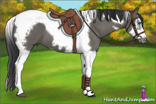 Horse Color:Grullo Splash Tobiano Frame
