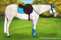 Horse Color:Chocolate Palomino Pearl Sabino Appaloosa Rabicano  and Cremello Sabino Appaloosa Rabicano 