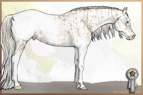 Horse Color:Chocolate Palomino Pearl Sabino Appaloosa Rabicano and White Spotted Chocolate Palomino Pearl Appaloosa Rabicano