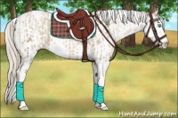 Horse Color:Chocolate Palomino Pearl Sabino Appaloosa Rabicano  and Chocolate Palomino Pearl Sabino Splash Appaloosa Rabicano 