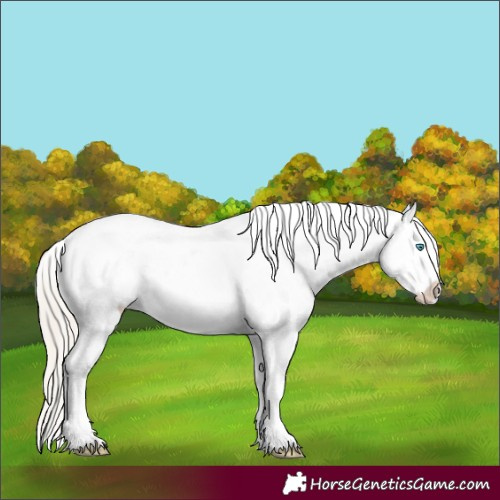 Horse Color:Chocolate Palomino Pearl Sabino Appaloosa Rabicano  and Chocolate Palomino Pearl Sabino Frame Appaloosa Rabicano 